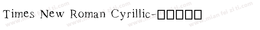 Times New Roman Cyrillic字体转换
